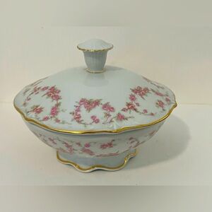 VTG Schumann Arzberg Germany Bridal Rose Golden Crown E&R 1886